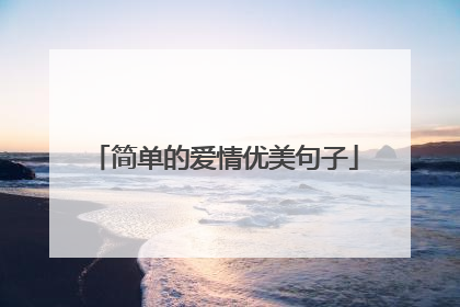 简单的爱情优美句子