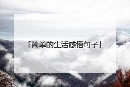 简单的生活感悟句子