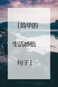 简单的生活感悟句子
