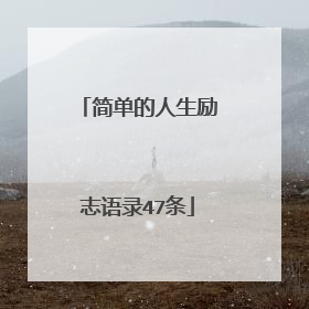 简单的人生励志语录47条