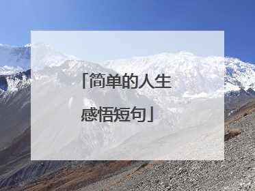 简单的人生感悟短句