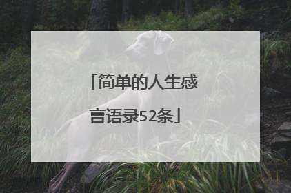 简单的人生感言语录52条