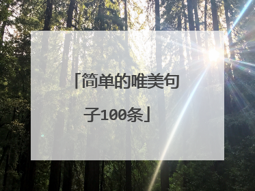 简单的唯美句子100条
