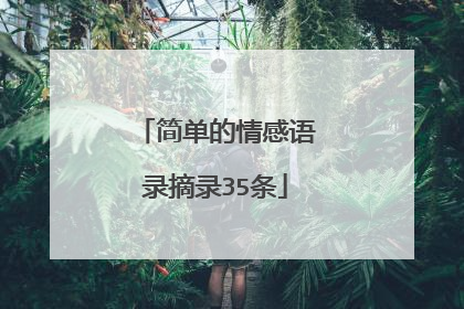 简单的情感语录摘录35条