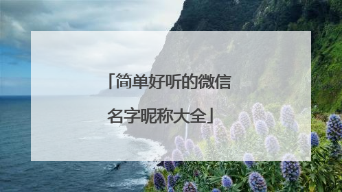 简单好听的微信名字昵称大全