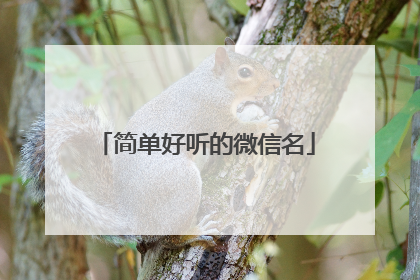 简单好听的微信名