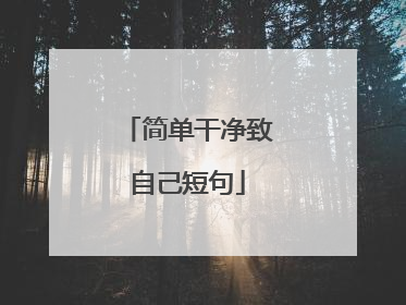 简单干净致自己短句
