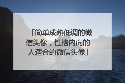 简单成熟低调的微信头像,性格内向的人适合的微信头像