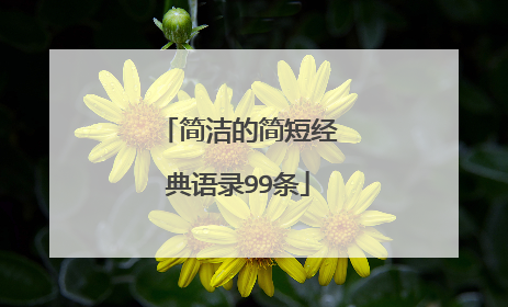 简洁的简短经典语录99条