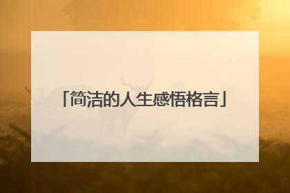 简洁的人生感悟格言