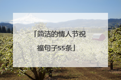 简洁的情人节祝福句子55条