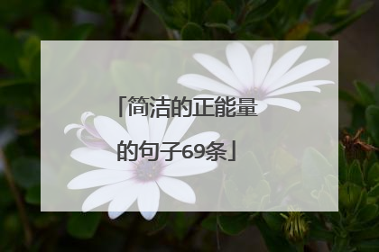 简洁的正能量的句子69条