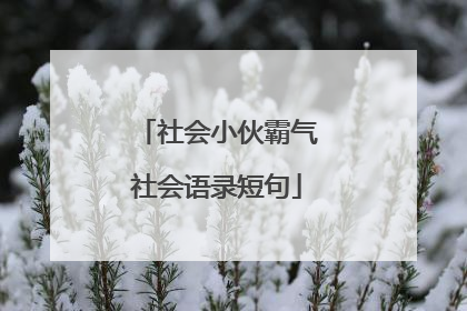 社会小伙霸气社会语录短句