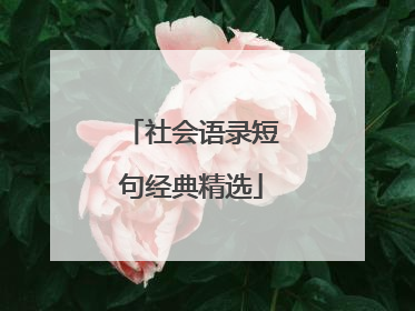 社会语录短句经典精选