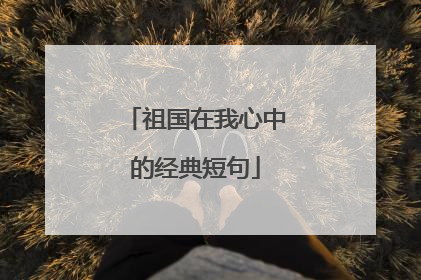祖国在我心中的经典短句