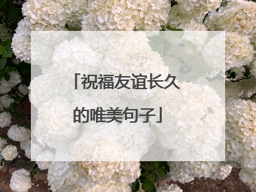 祝福友谊长久的唯美句子