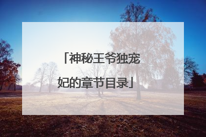神秘王爷独宠妃的章节目录