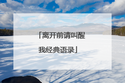 离开前请叫醒我经典语录