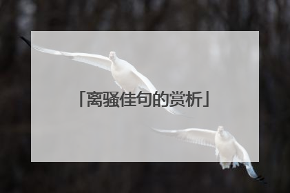 离骚佳句的赏析