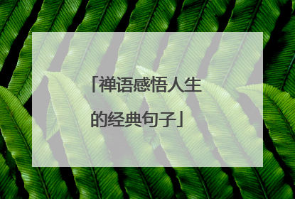 禅语感悟人生的经典句子