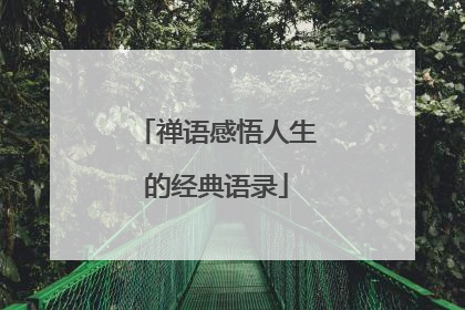 禅语感悟人生的经典语录