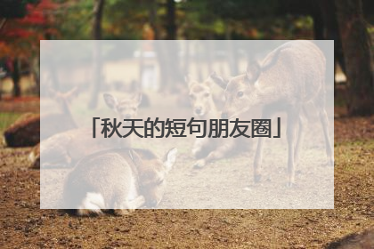 秋天的短句朋友圈