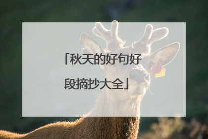 秋天的好句好段摘抄大全