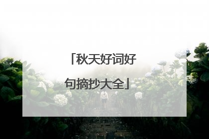 秋天好词好句摘抄大全