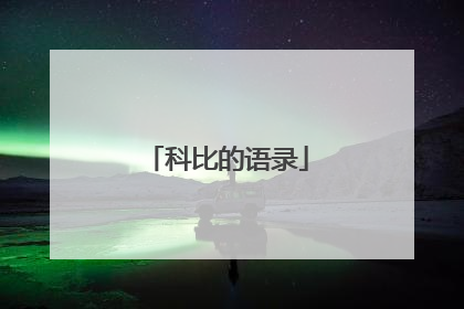 科比的语录