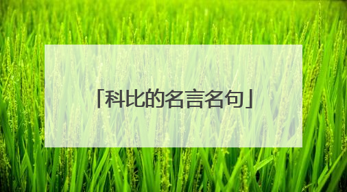 科比的名言名句