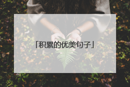积累的优美句子