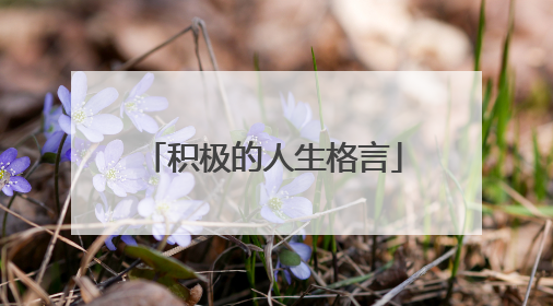 积极的人生格言