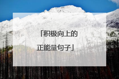 积极向上的正能量句子