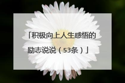 积极向上人生感悟的励志说说(53条)