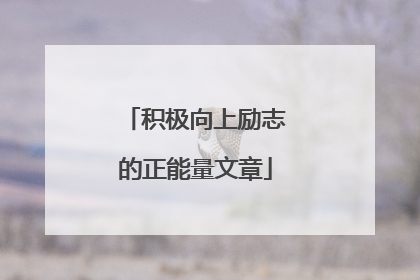 积极向上励志的正能量文章
