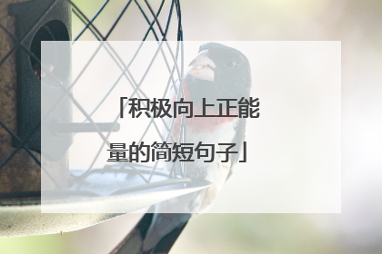 积极向上正能量的简短句子