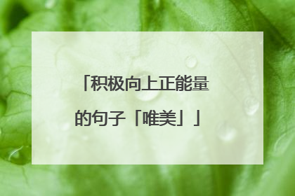 积极向上正能量的句子「唯美」