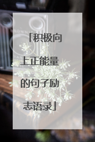 积极向上正能量的句子励志语录