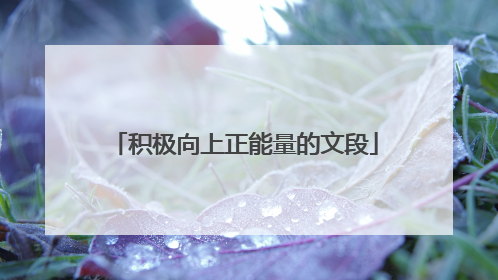 积极向上正能量的文段