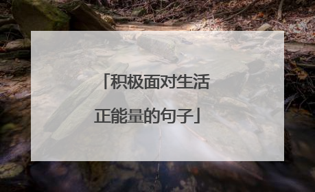 积极面对生活正能量的句子