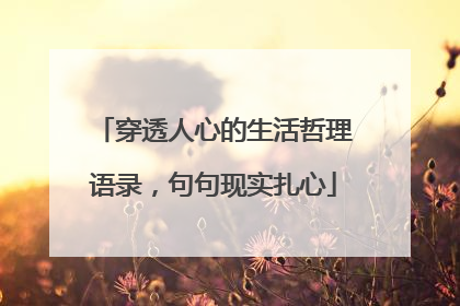 穿透人心的生活哲理语录,句句现实扎心