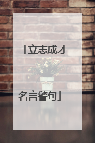 立志成才名言警句