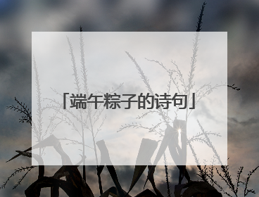 端午粽子的诗句