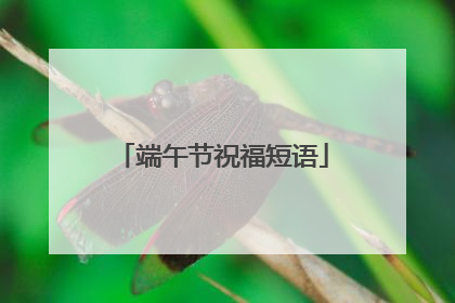 端午节祝福短语