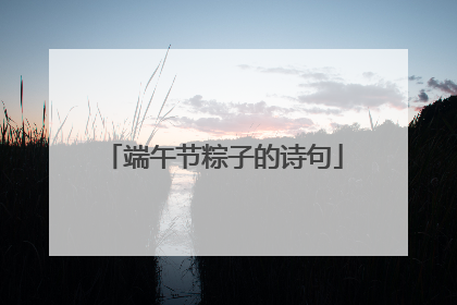 端午节粽子的诗句