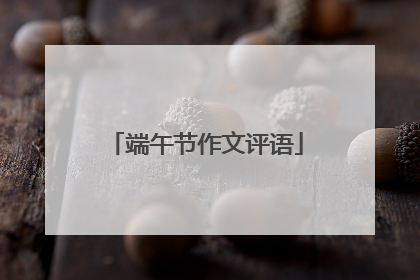 端午节作文评语