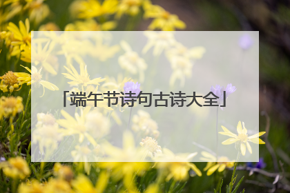 端午节诗句古诗大全