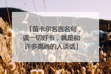 笛卡尔名言名句,读一切好书,就是和许多高尚的人谈话