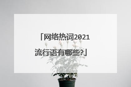 网络热词2021流行语有哪些?
