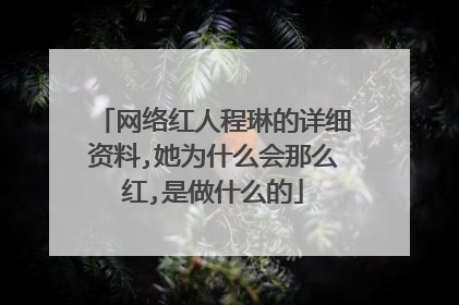 网络红人程琳的详细资料,她为什么会那么红,是做什么的